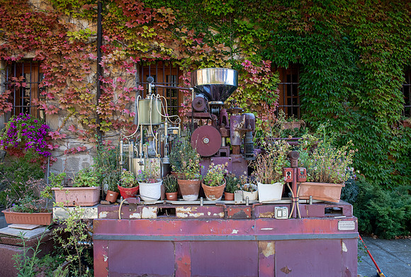 Spain.Rioja.080