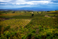 Spain.Rioja.085
