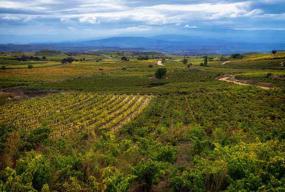Spain.Rioja.085