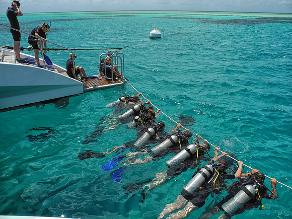 First time divers
