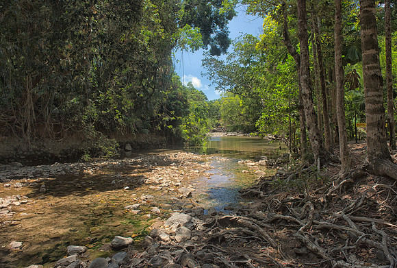 Fresh water pool