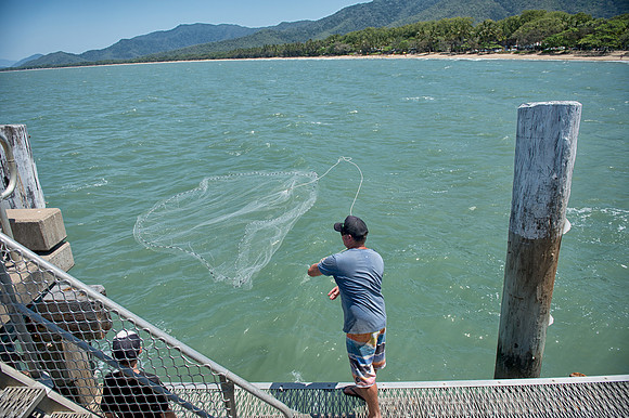 Net fishing at Palm Cove