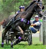 liveoak_carriage_20120324_040A