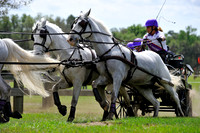 liveoak_carriage_20120324_035