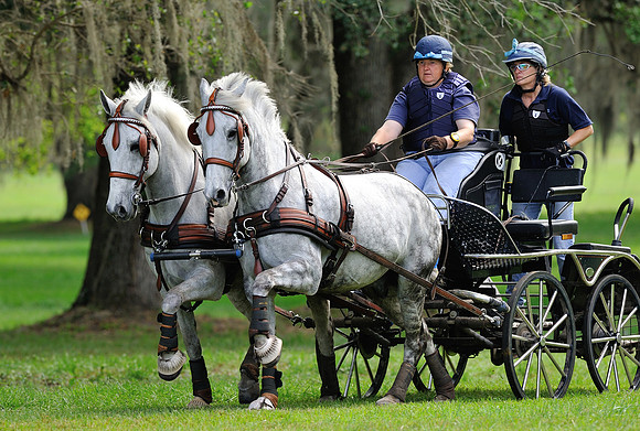 Live Oak International Combined Driving Event