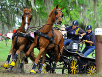 liveoak_carriage_20120324_002A
