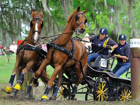 liveoak_carriage_20120324_002A