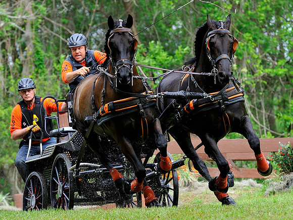 liveoak_carriage_20120324_005A