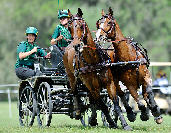 Live Oak International Combined Driving Event