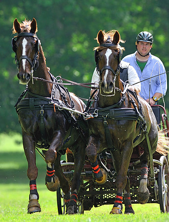 Live Oak International Combined Driving Event