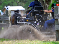 Live Oak International Combined Driving Event