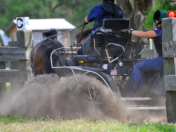 Live Oak International Combined Driving Event