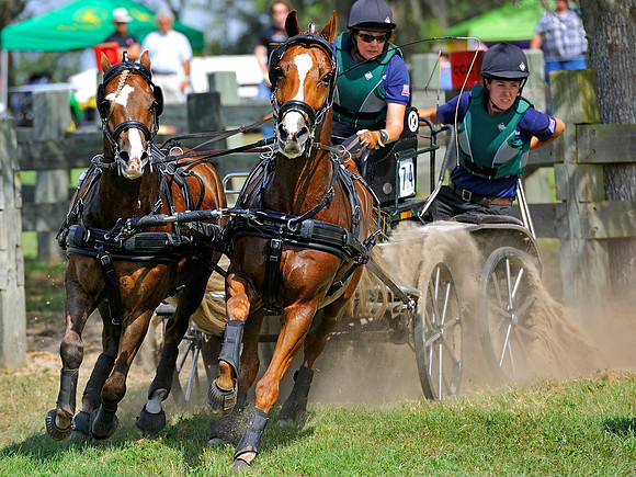 liveoak_carriage_20120324_028A