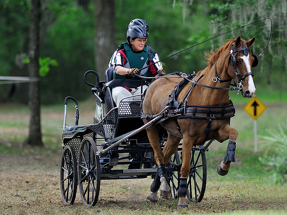 Live Oak International Combined Driving Event