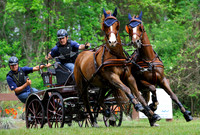 liveoak_carriage_20120324_008A