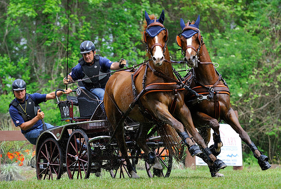 liveoak_carriage_20120324_008A