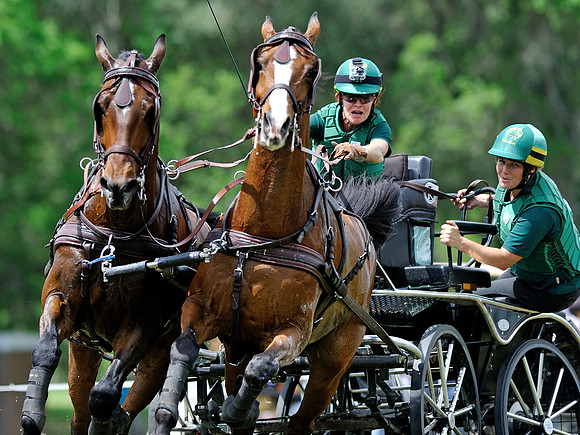 liveoak_carriage_20120324_062A