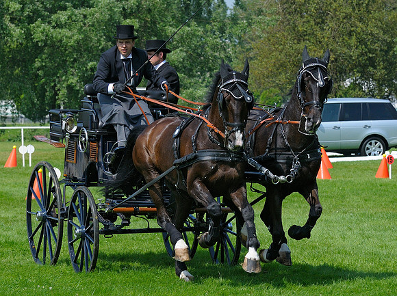 Carriage Driving
