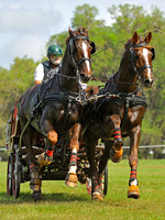 Live Oak International Combined Driving Event