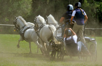 liveoak_carriage_20120324_039