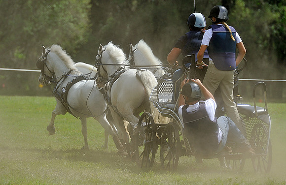 liveoak_carriage_20120324_039