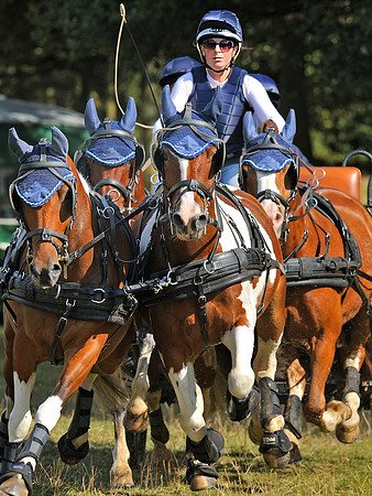 Carriage Driving