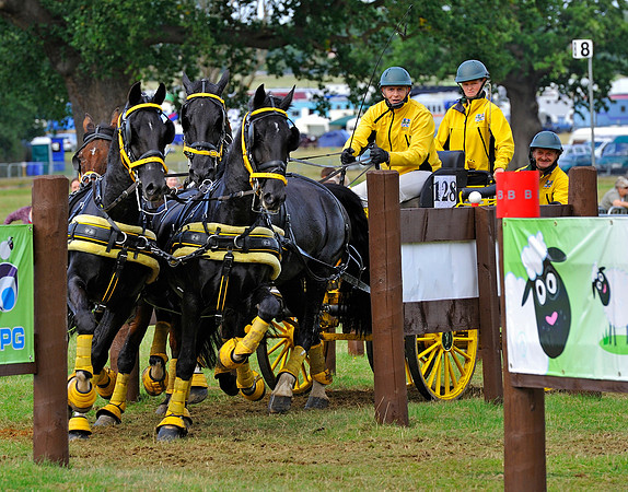 Barnaby Bowman drives his team of four