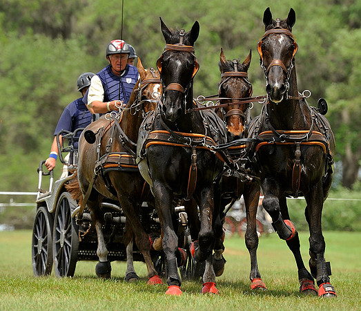 liveoak_carriage_20120324_047A
