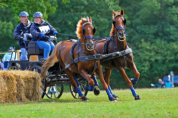 Carriage Driving