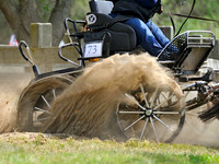 liveoak_carriage_20120324_032A