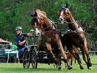 liveoak_carriage_20120324_018A