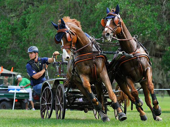 liveoak_carriage_20120324_018A