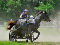 liveoak_carriage_20120324_041