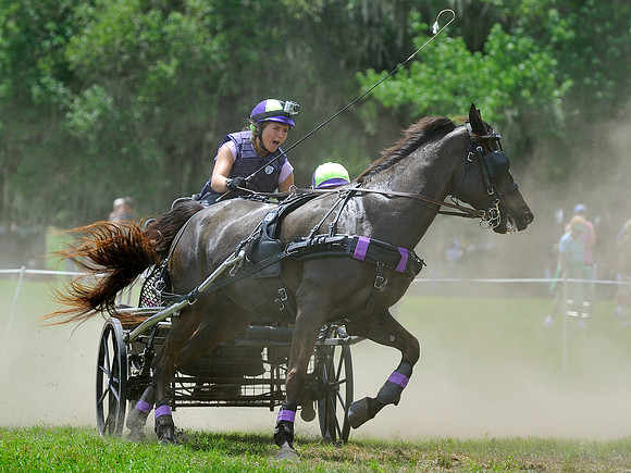 liveoak_carriage_20120324_041