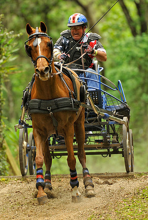 liveoak_carriage_20120324_055 copy