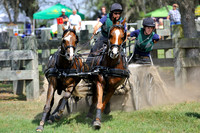 Live Oak International Combined Driving Event