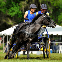 liveoak_carriage_20120324_025A