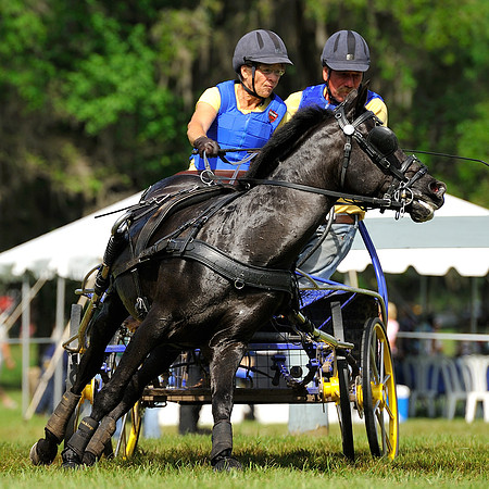 liveoak_carriage_20120324_025A