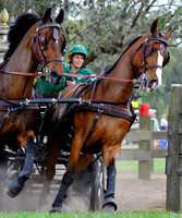 liveoak_carriage_20120324_042A