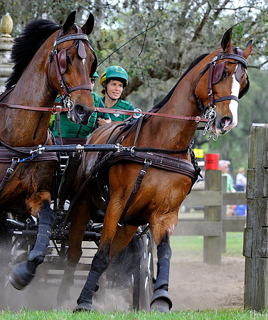 liveoak_carriage_20120324_042A