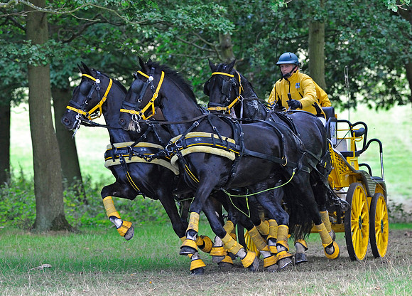 Barnaby Bowman drives his team of four
