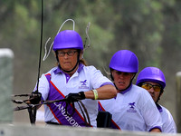 liveoak_carriage_20120324_033A