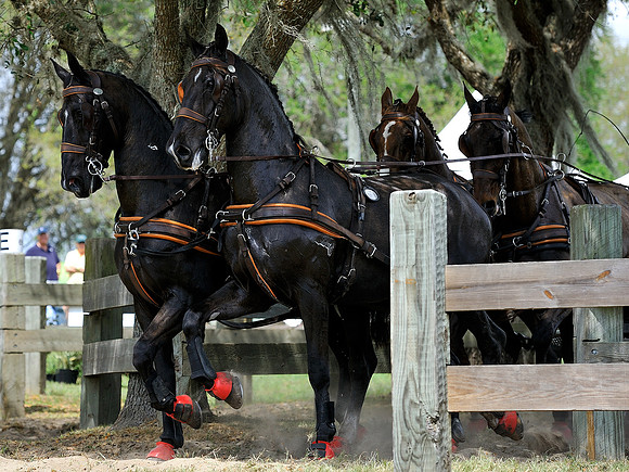 liveoak_carriage_20120324_043A