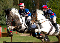 Horse_Rogate_01042012392