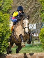 Horse_Rogate_01042012296