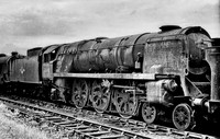 Locomotive 35018 British India LIne  Merchant Navy Class 4-6-2