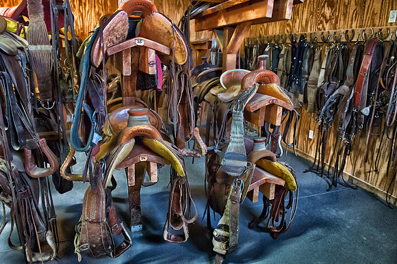 The Tack Room