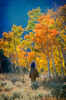 Rider and Aspen