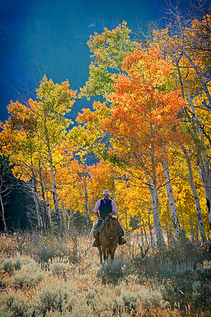 Rider and Aspen