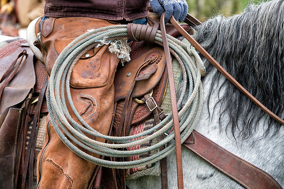 The Lasso